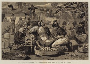 تعبئة البرتقال في الأندلس للسوق الإنجليزية بواسطة إدوين بوكمان